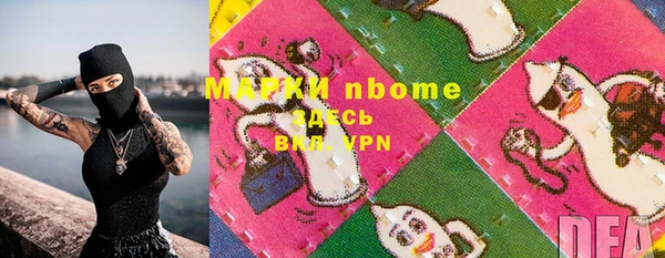 шишки Верея