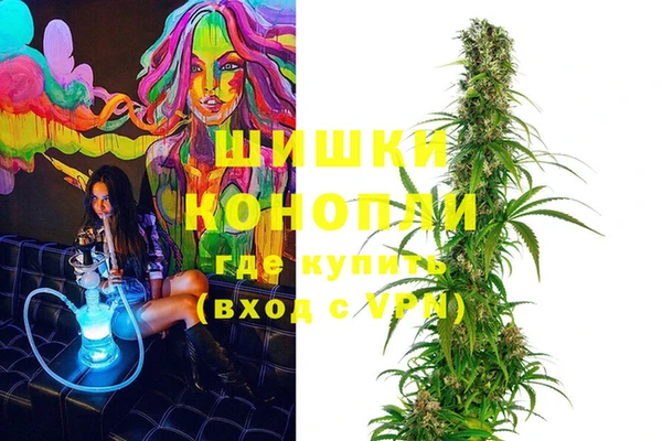 крисы Верхний Тагил
